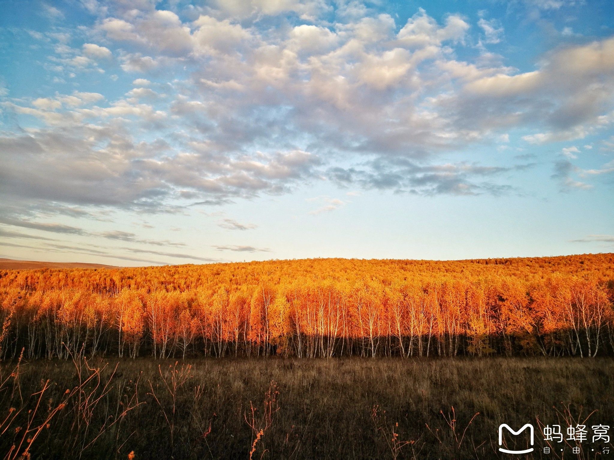 內蒙古旅游攻略 