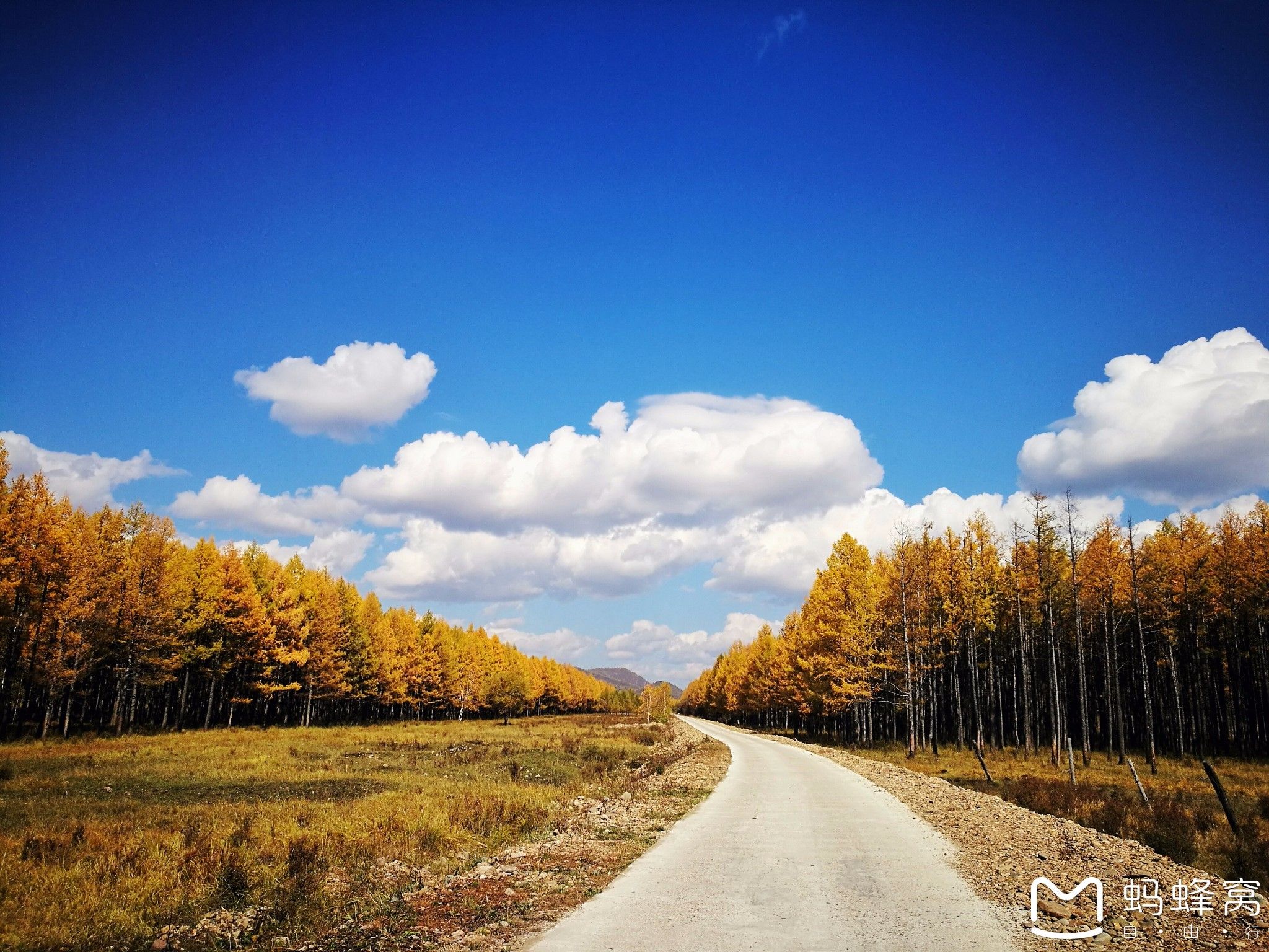 內蒙古旅游攻略 