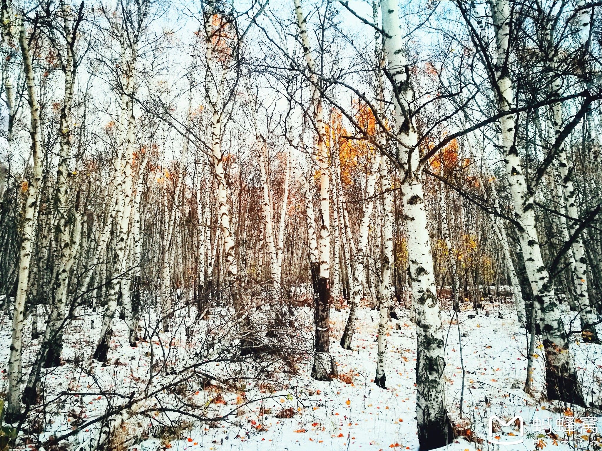 內蒙古旅游攻略 