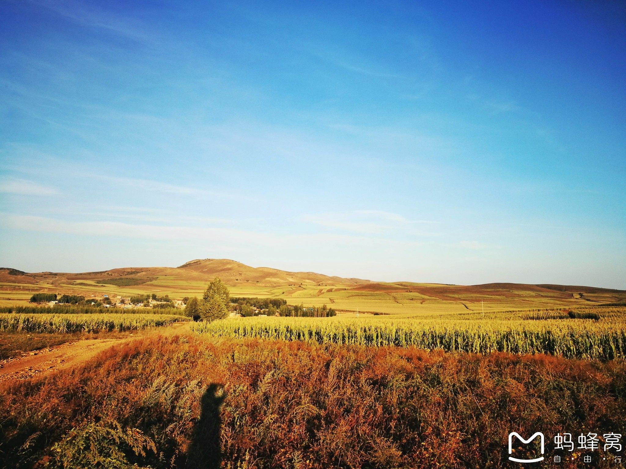 內蒙古旅游攻略 