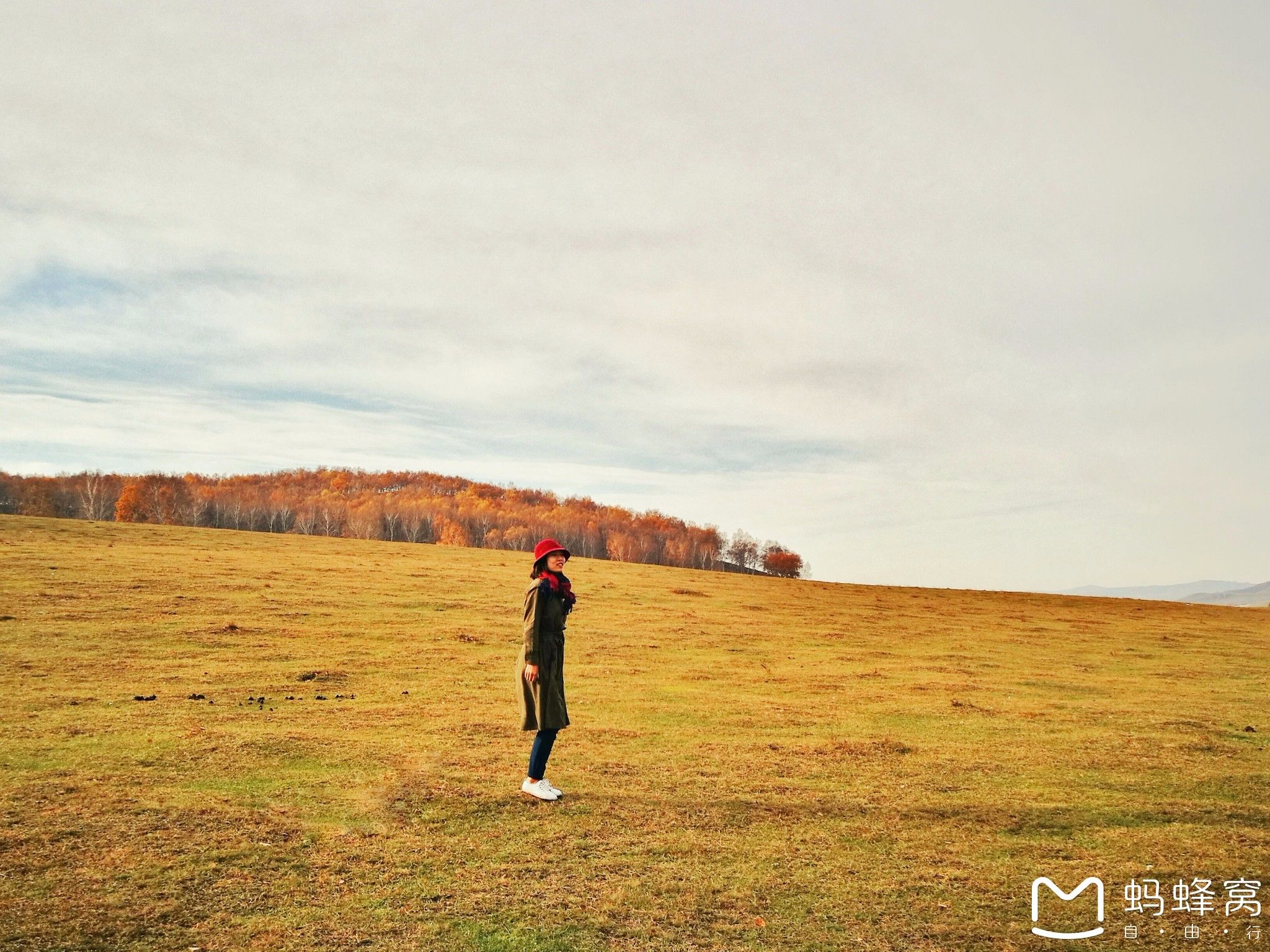 內蒙古旅游攻略 