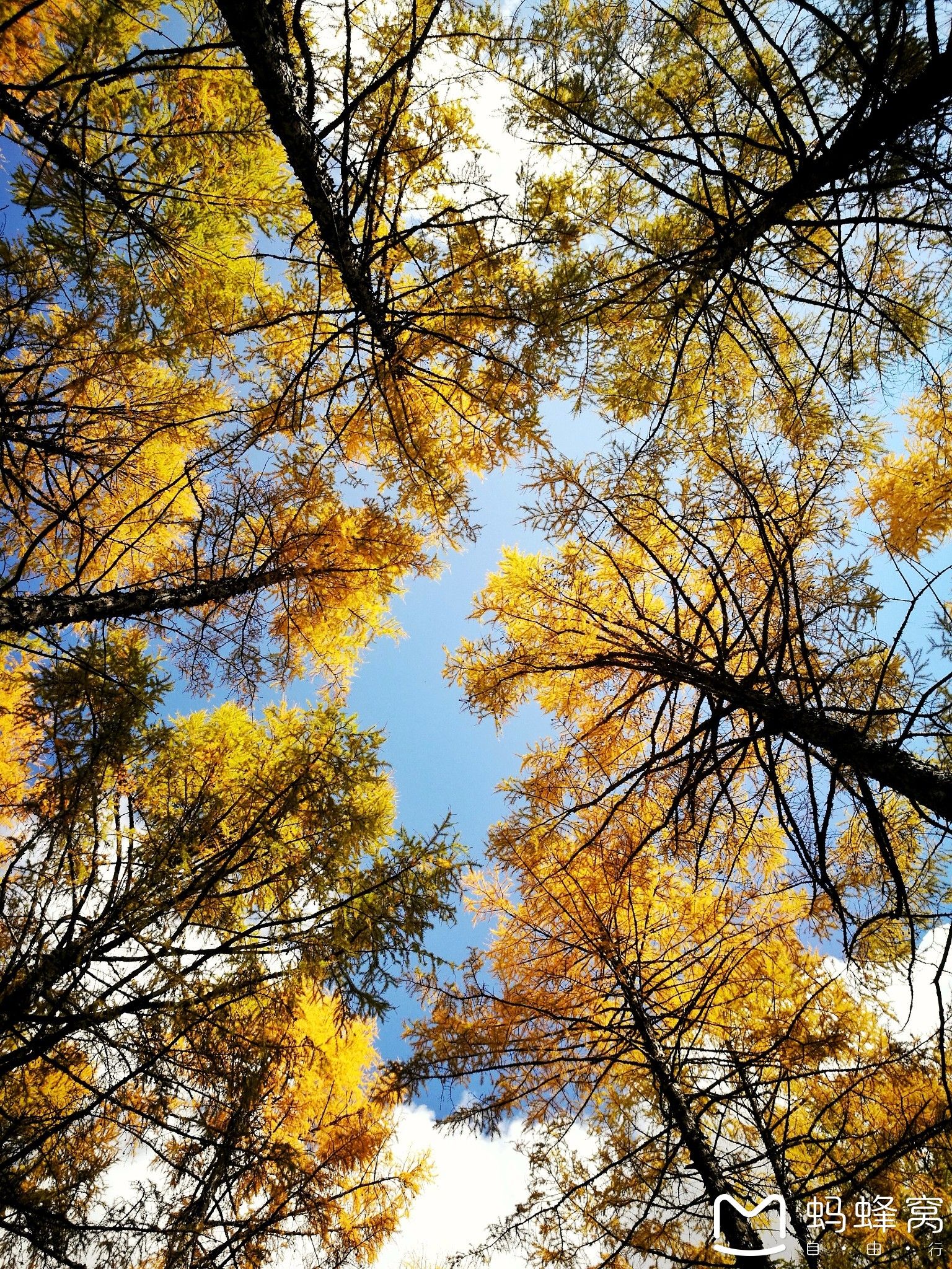 內蒙古旅游攻略 