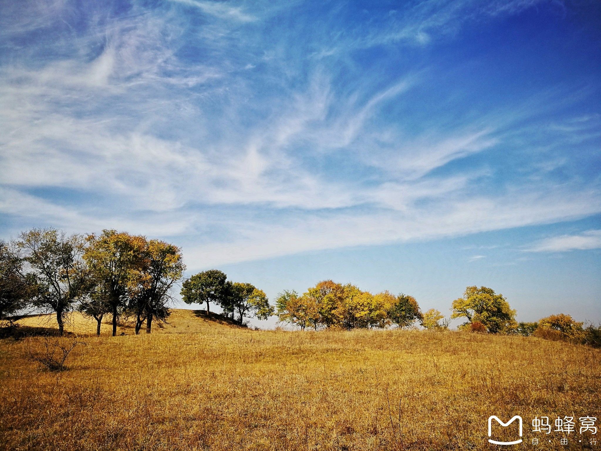 內蒙古旅游攻略 