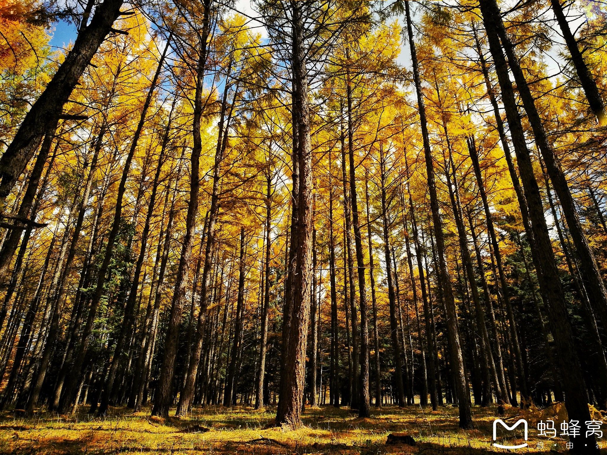 內蒙古旅游攻略 