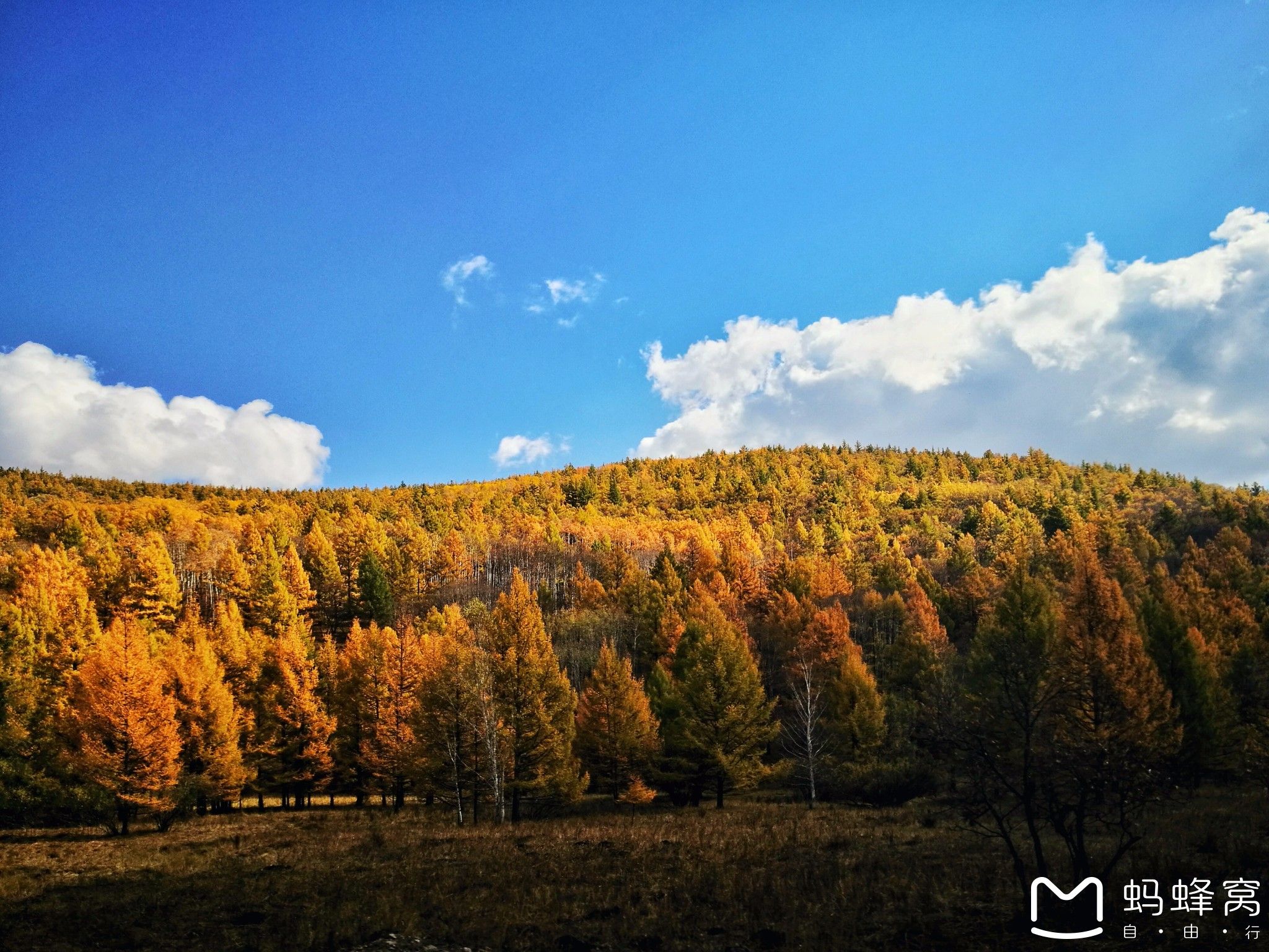 內蒙古旅游攻略 