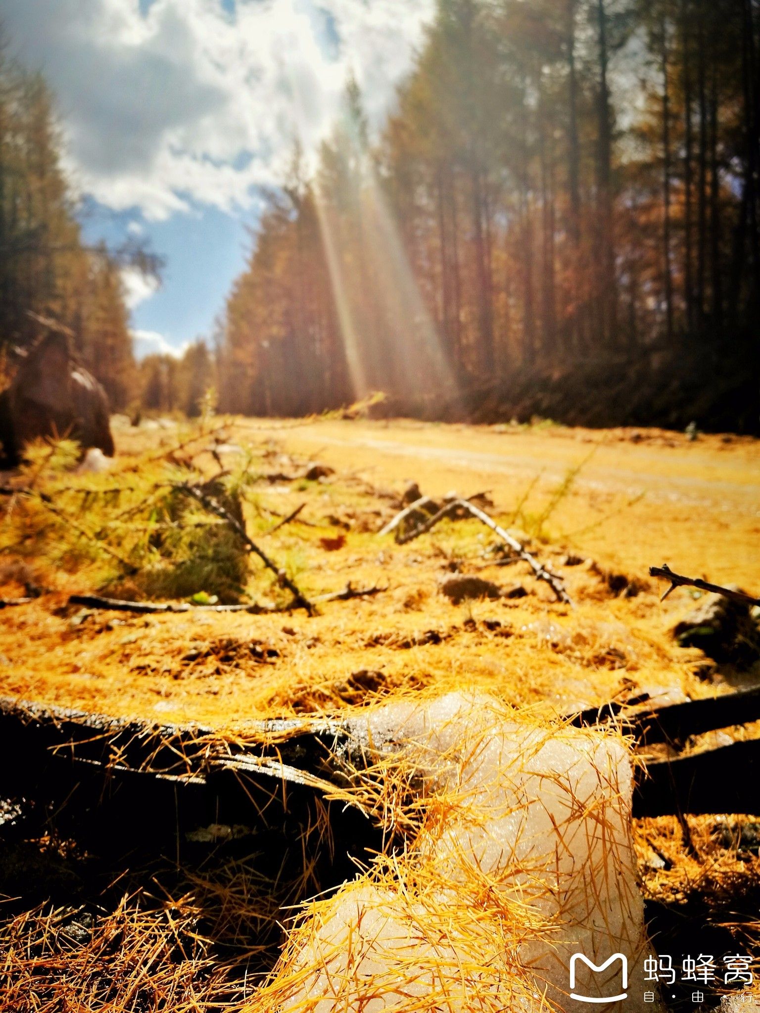 內蒙古旅游攻略 