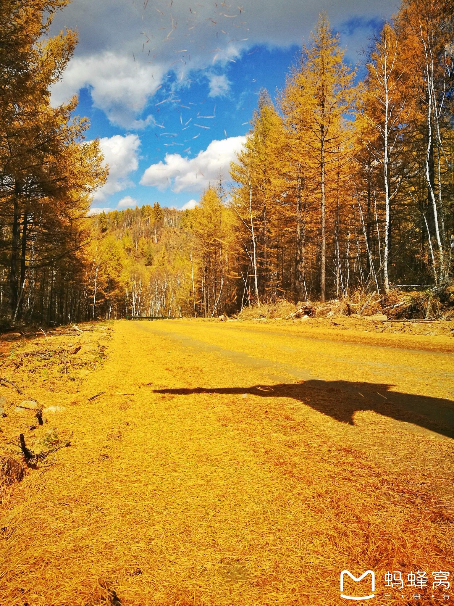 內蒙古旅游攻略 