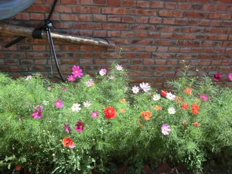 豐寧壩上草原,豐寧京北草原