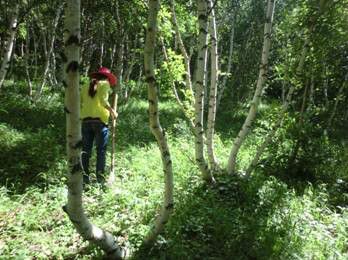豐寧壩上草原,豐寧京北草原