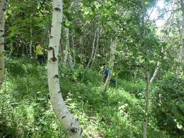 豐寧壩上草原,豐寧京北草原