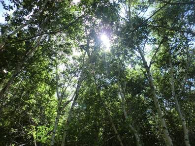 豐寧壩上草原,豐寧京北草原