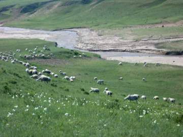 豐寧壩上草原,豐寧京北草原