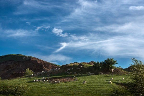 豐寧壩上草原,豐寧京北草原