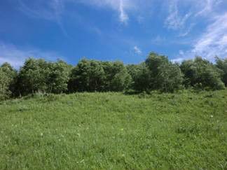 豐寧壩上草原,豐寧京北草原