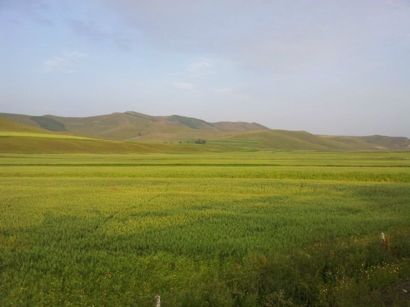 豐寧壩上草原,豐寧京北草原