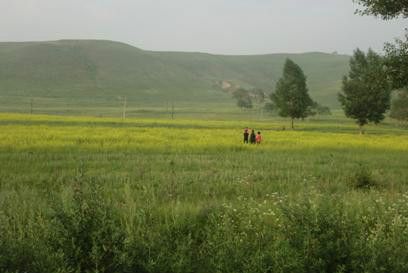 豐寧壩上草原,豐寧京北草原