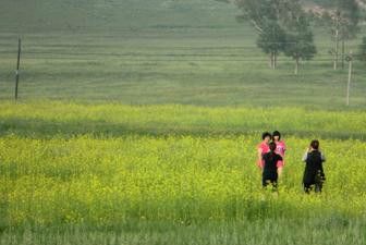豐寧壩上草原,豐寧京北草原