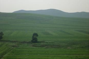 豐寧壩上草原,豐寧京北草原