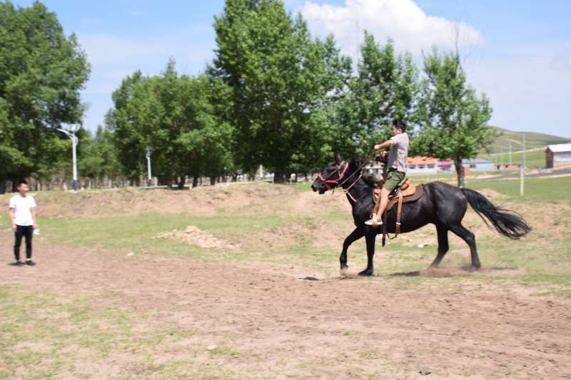 豐寧壩上草原,豐寧京北草原
