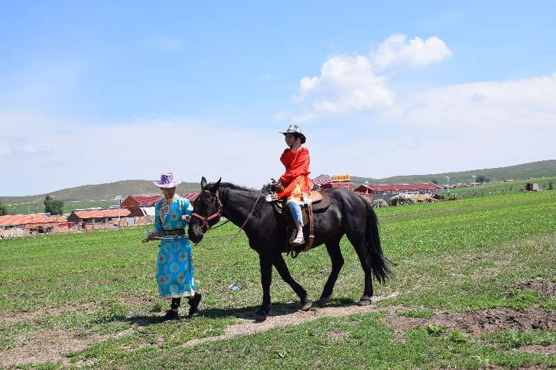 豐寧壩上草原,豐寧京北草原