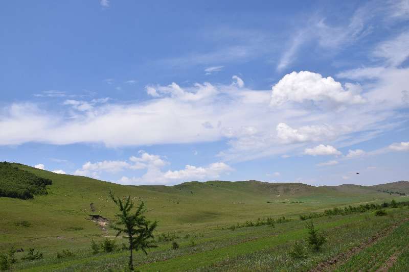 豐寧壩上草原,豐寧京北草原