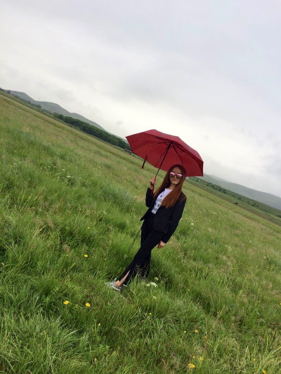 河北豐寧壩上草原