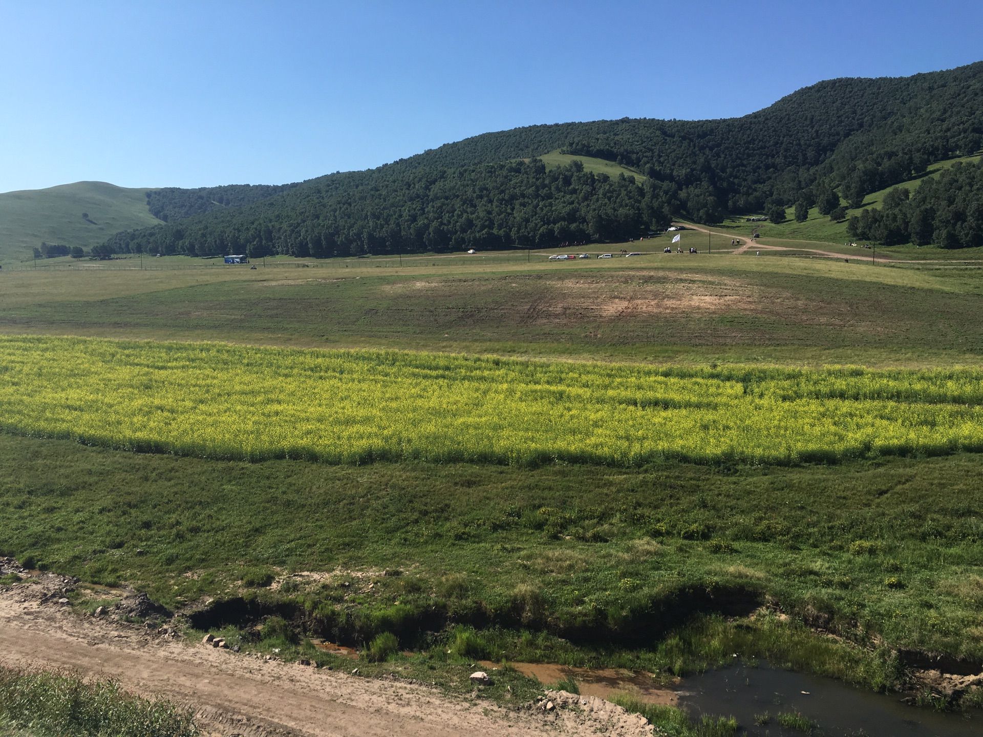 豐寧壩上草原,豐寧京北草原