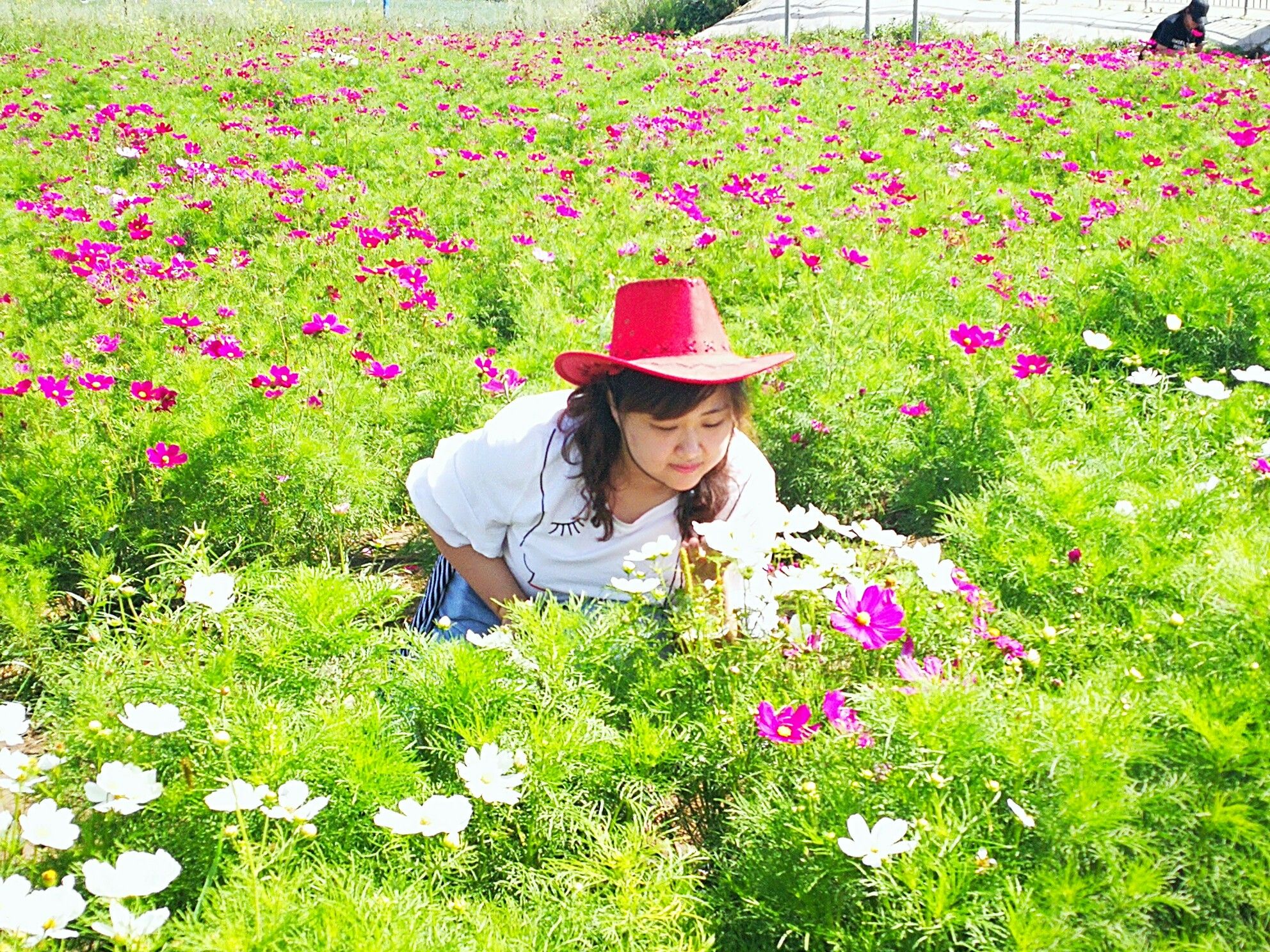豐寧壩上草原,豐寧京北草原