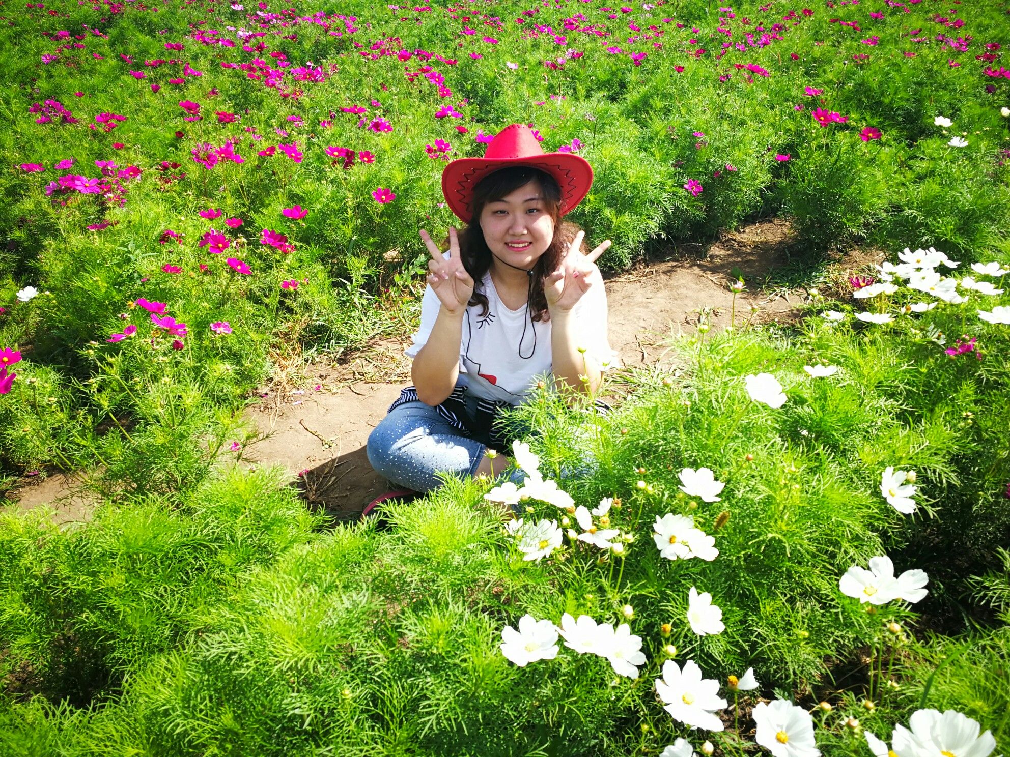 豐寧壩上草原,豐寧京北草原