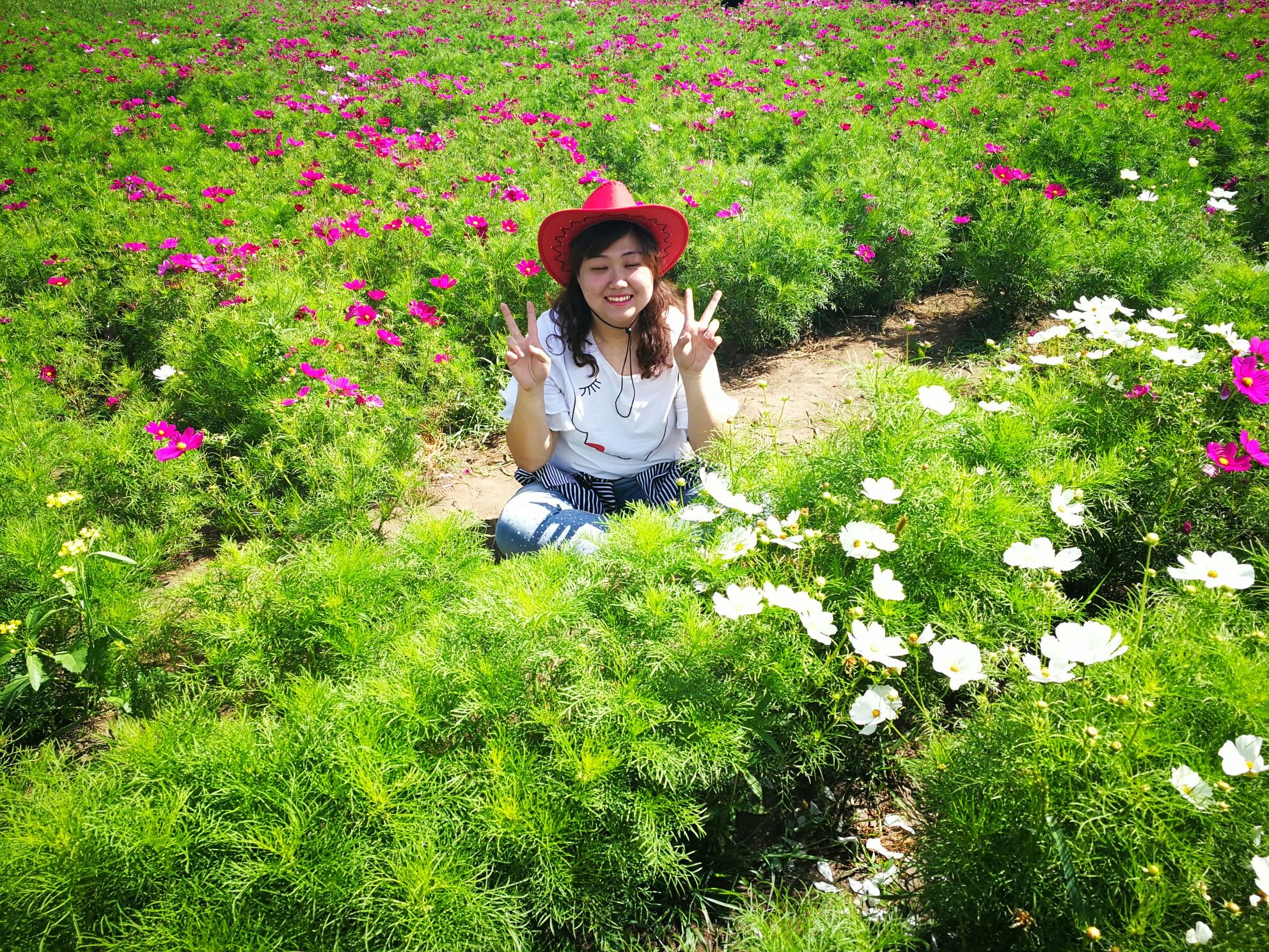 豐寧壩上草原,豐寧京北草原