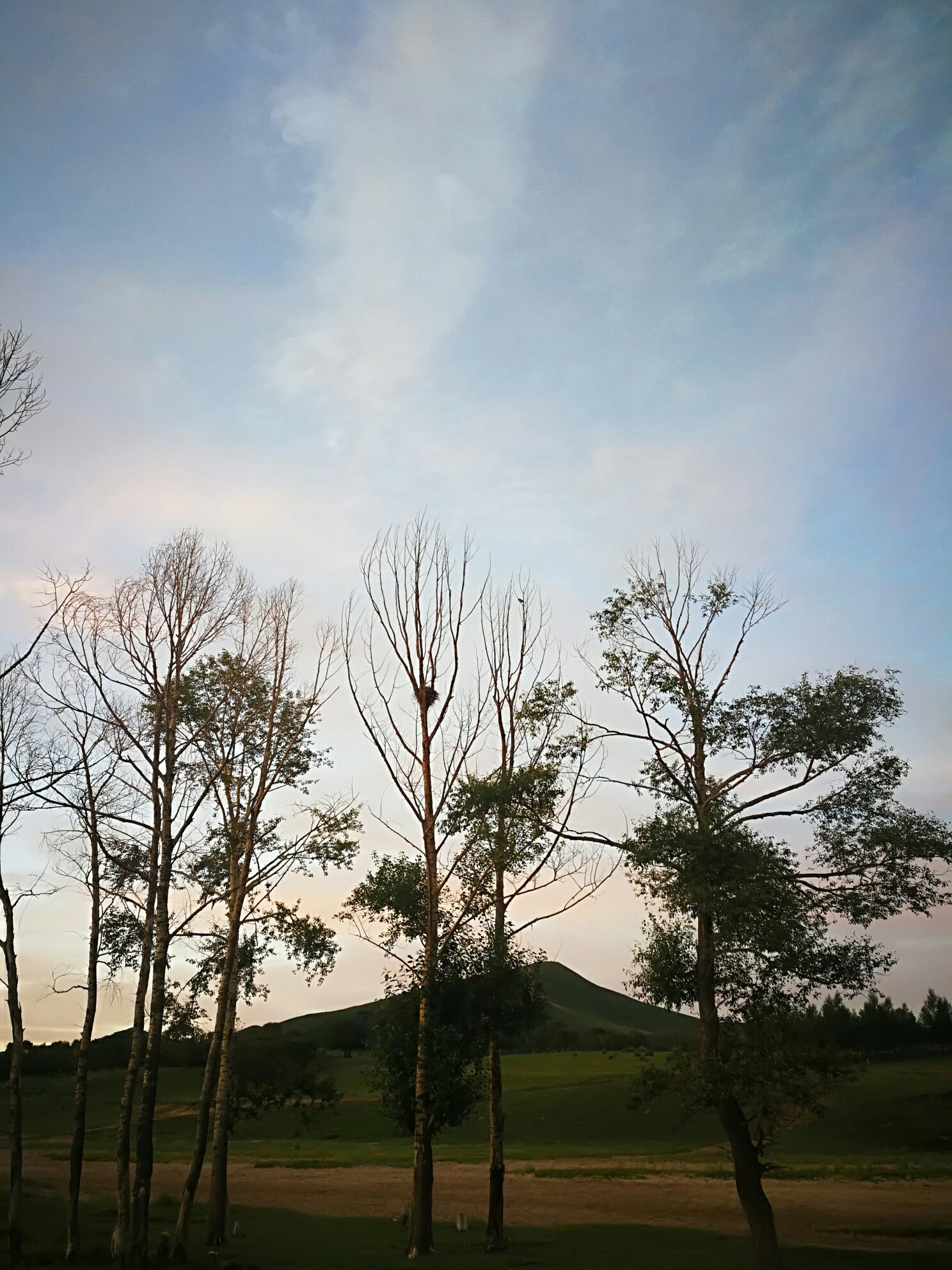 豐寧壩上草原,豐寧京北草原