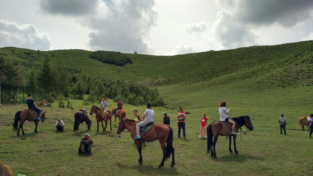 豐寧壩上草原,豐寧京北草原