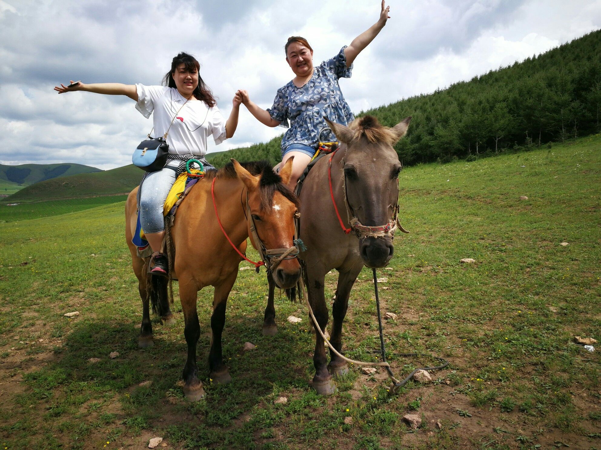 豐寧壩上草原,豐寧京北草原