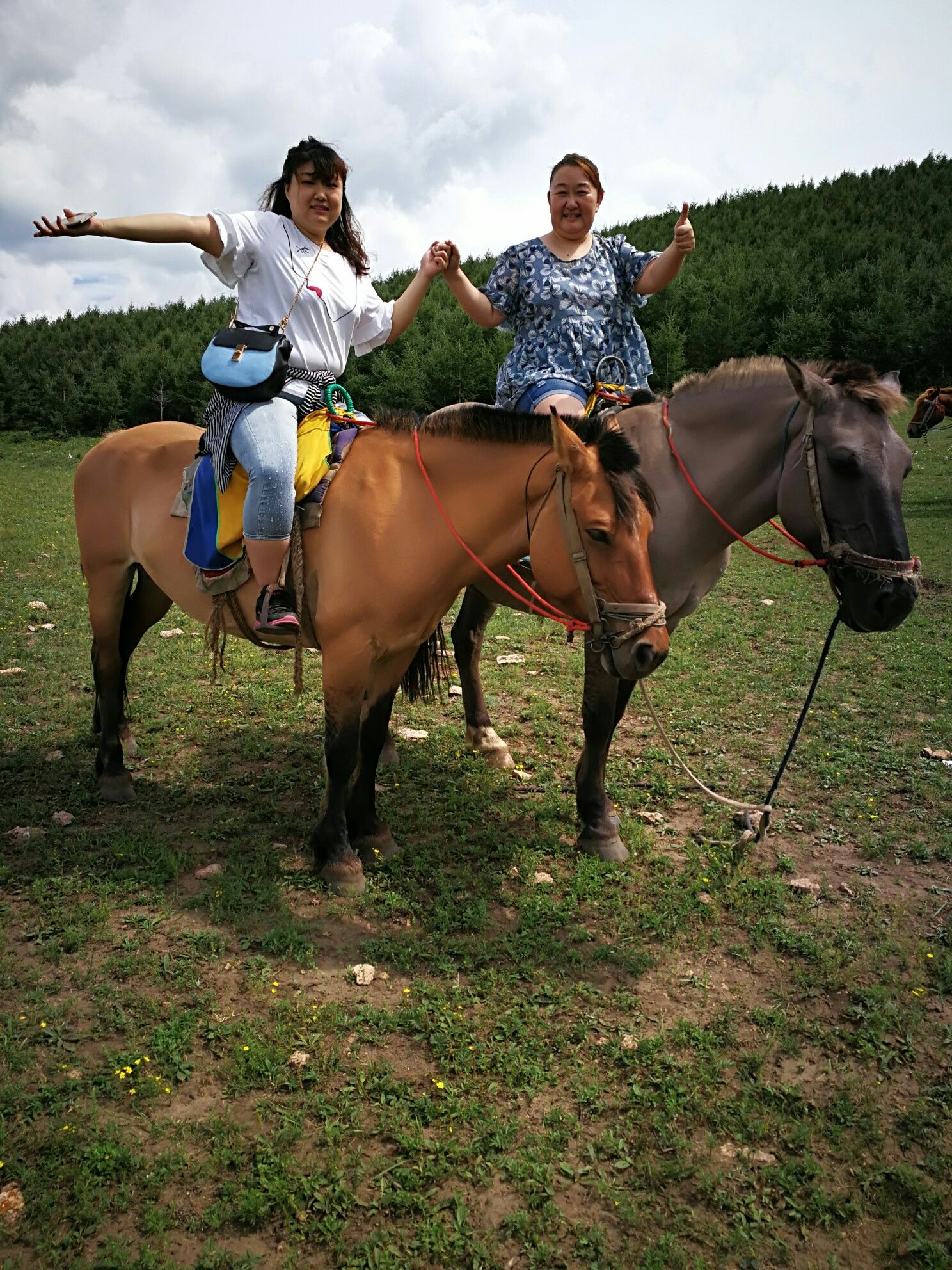豐寧壩上草原,豐寧京北草原
