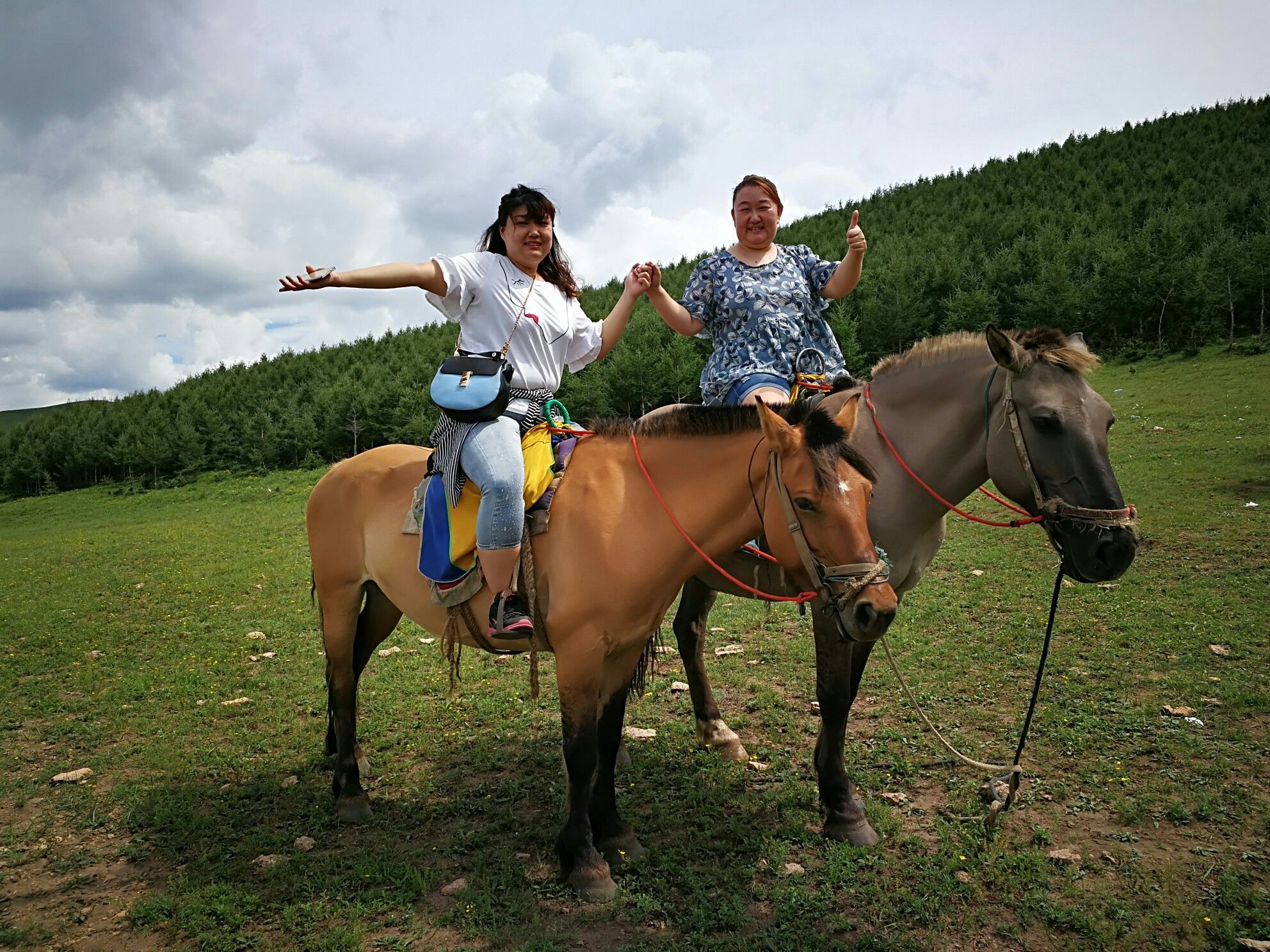 豐寧壩上草原,豐寧京北草原
