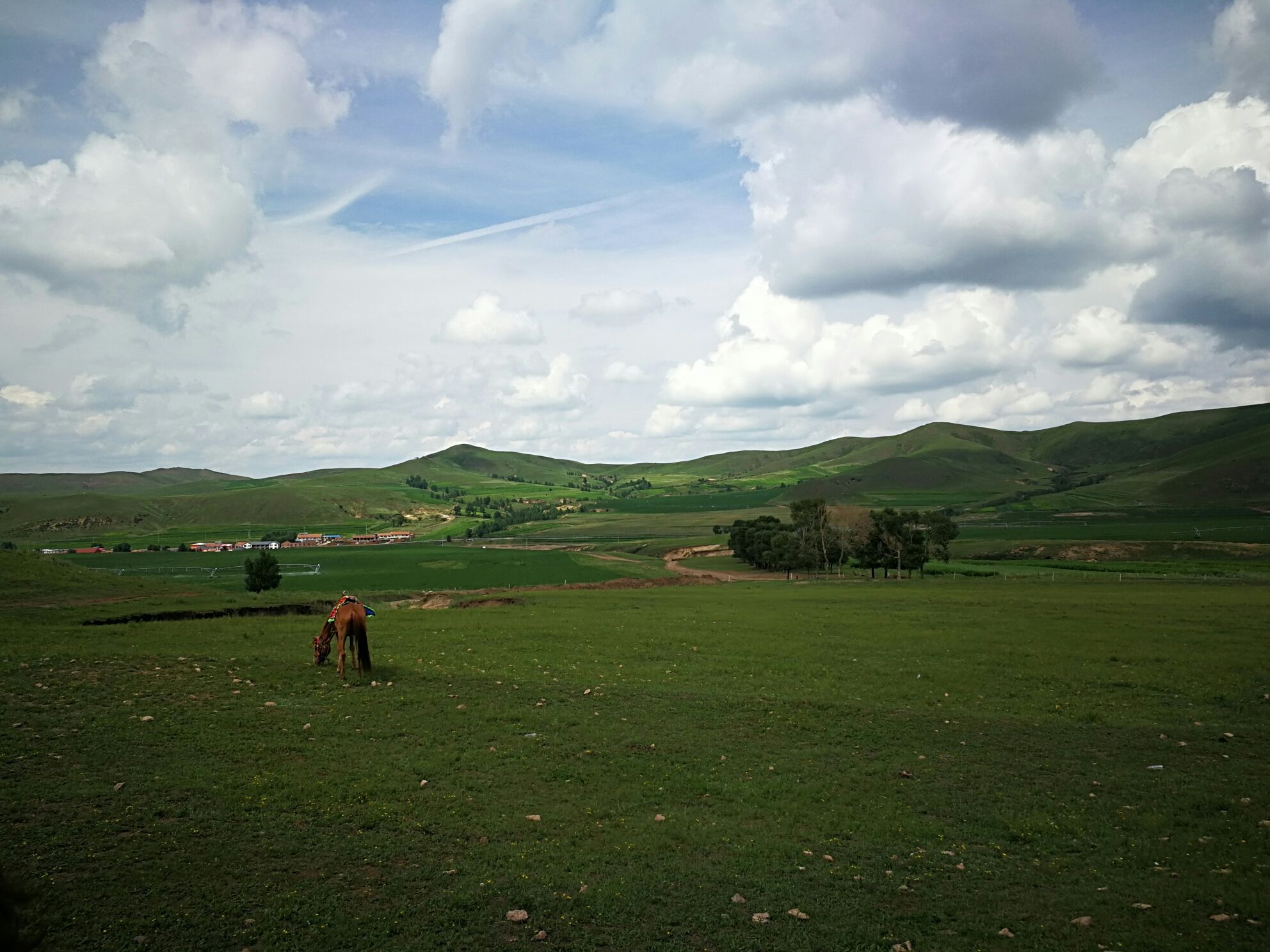 豐寧壩上草原,豐寧京北草原