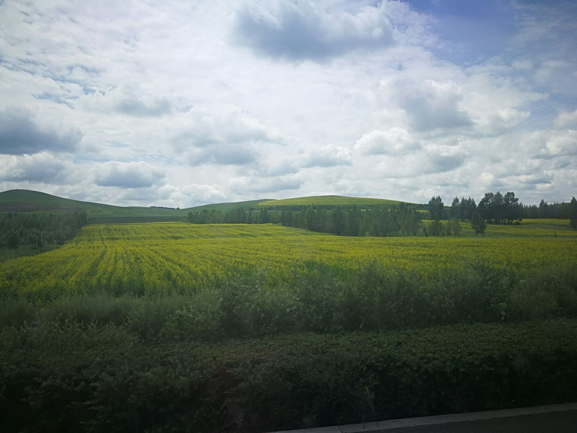 豐寧壩上草原,豐寧京北草原