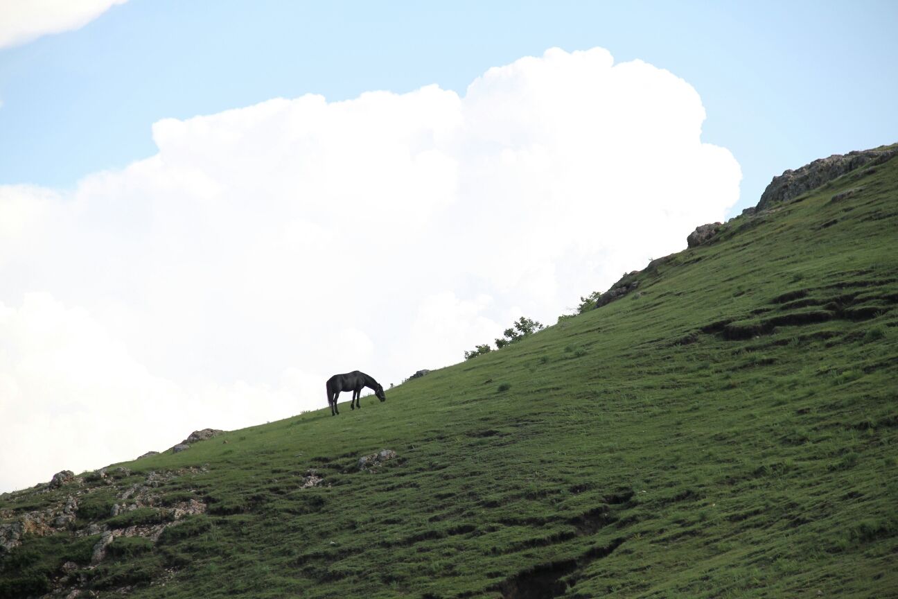 豐寧壩上草原,豐寧京北草原