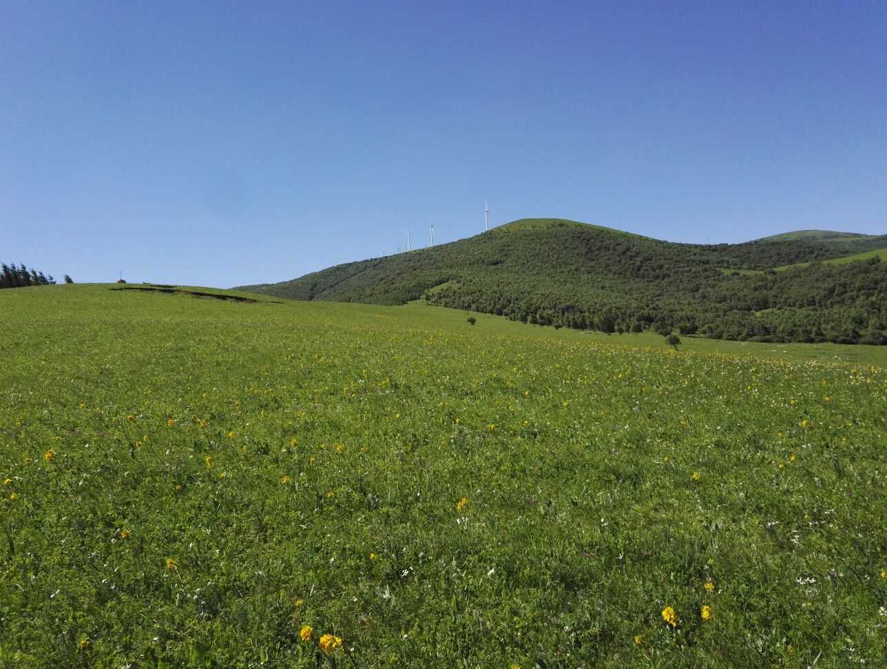 豐寧壩上草原,豐寧京北草原