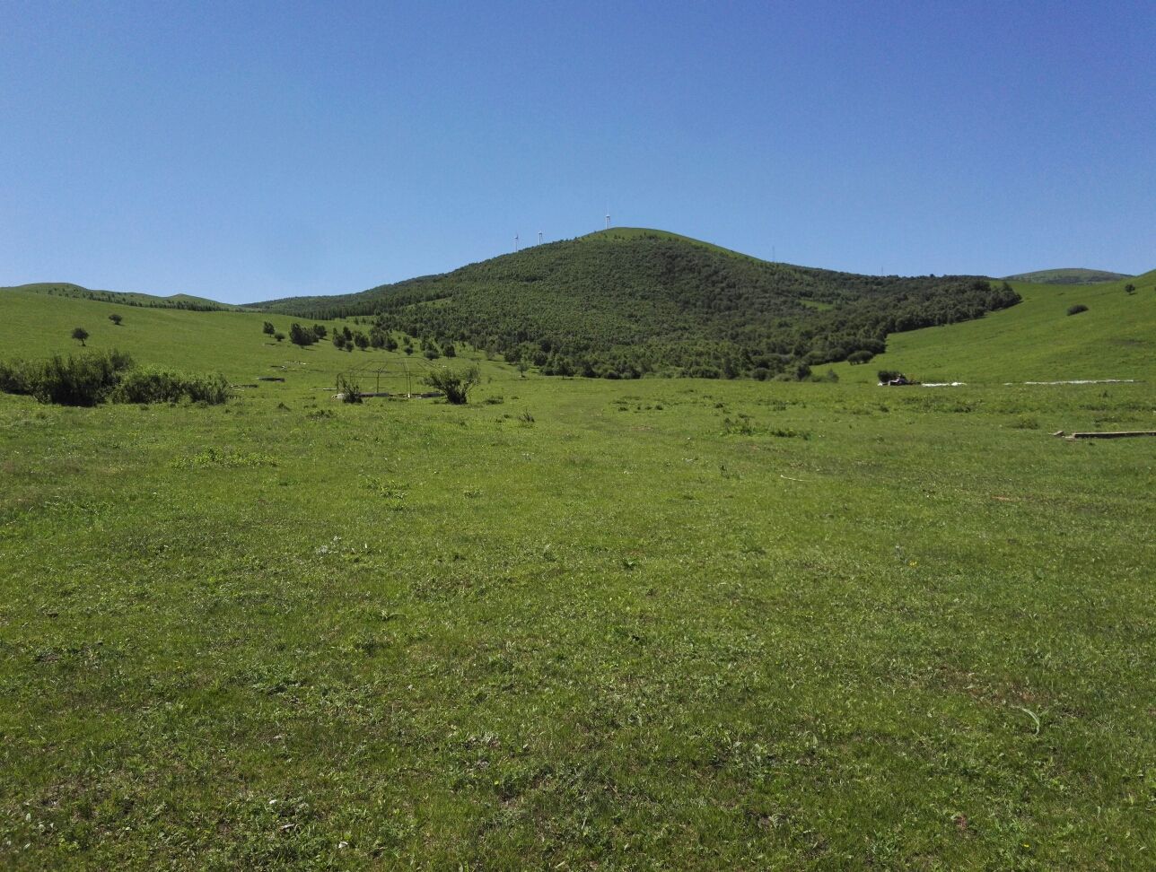 豐寧壩上草原,豐寧京北草原