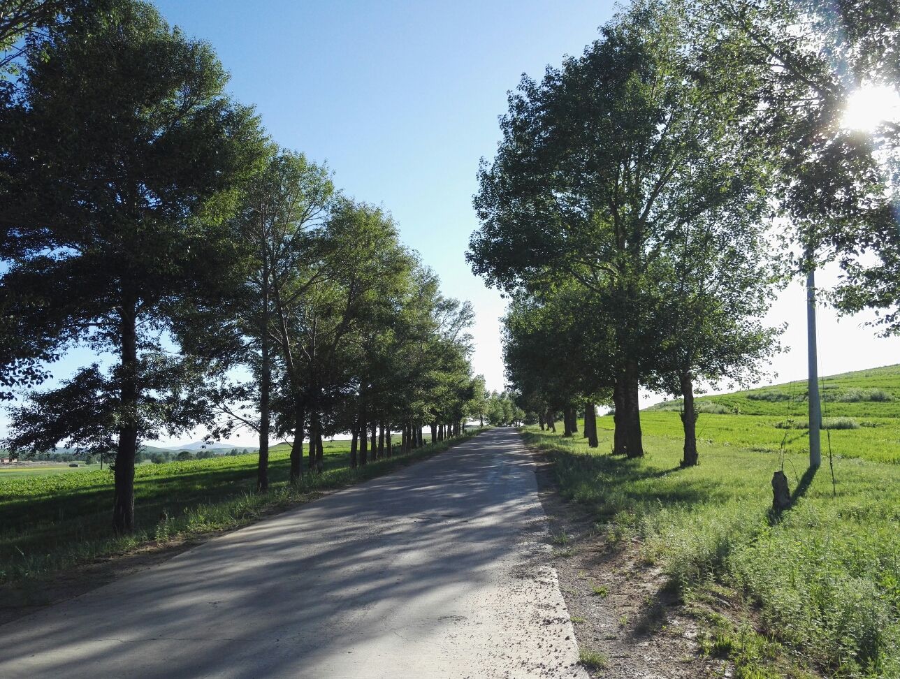 豐寧壩上草原,豐寧京北草原