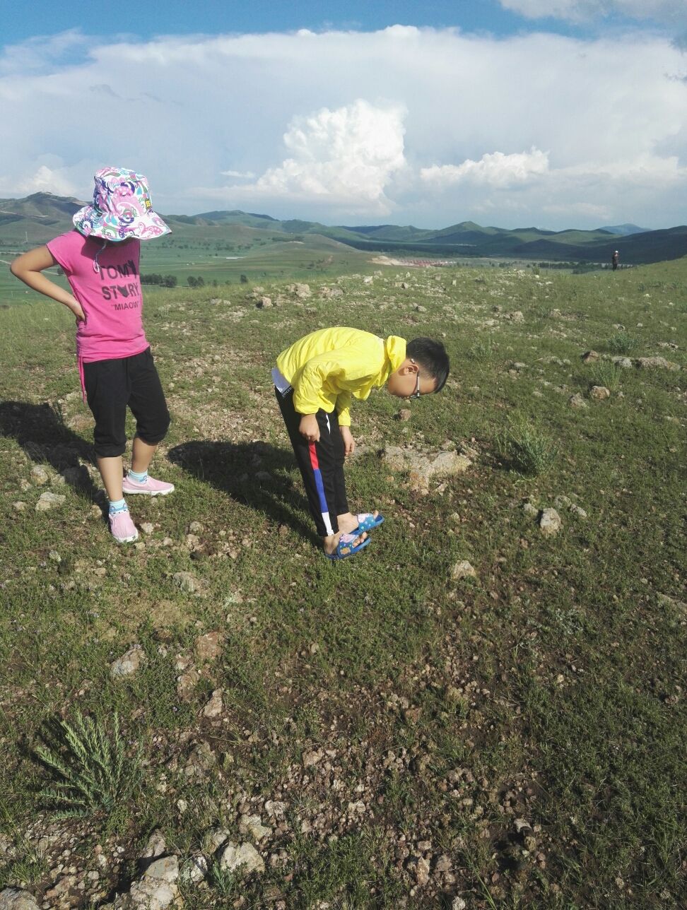 豐寧壩上草原,豐寧京北草原