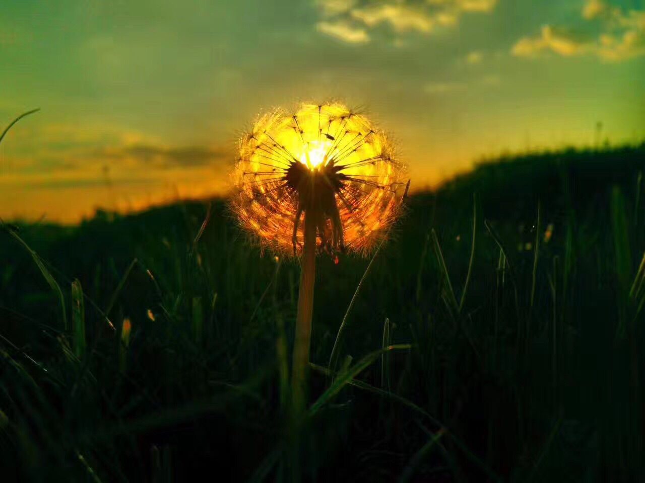 豐寧壩上草原,豐寧京北草原