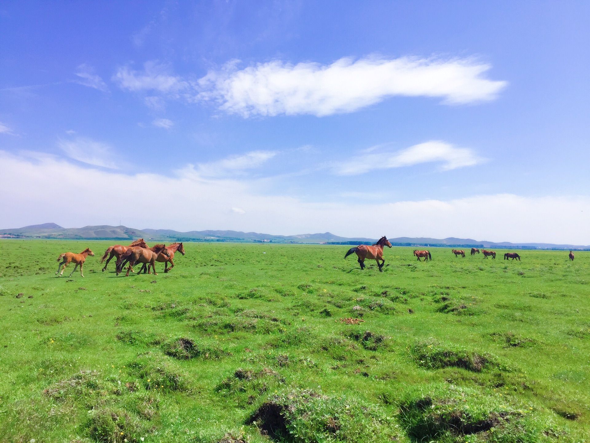 豐寧壩上草原,豐寧京北草原