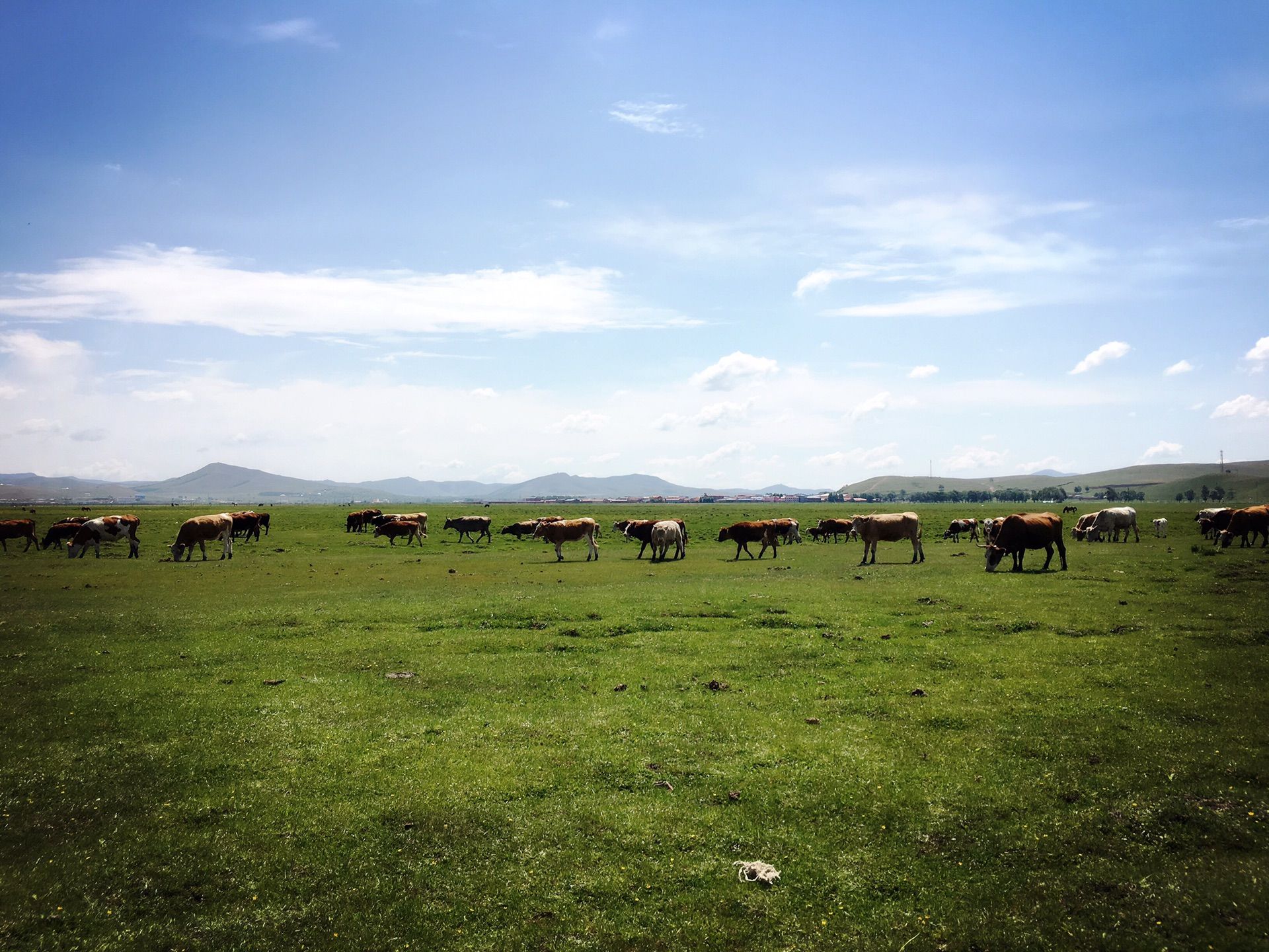 豐寧壩上草原,豐寧京北草原