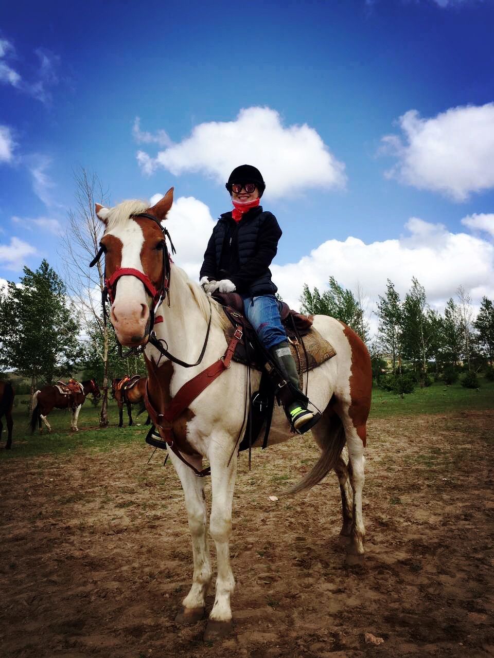 豐寧壩上草原,豐寧京北草原