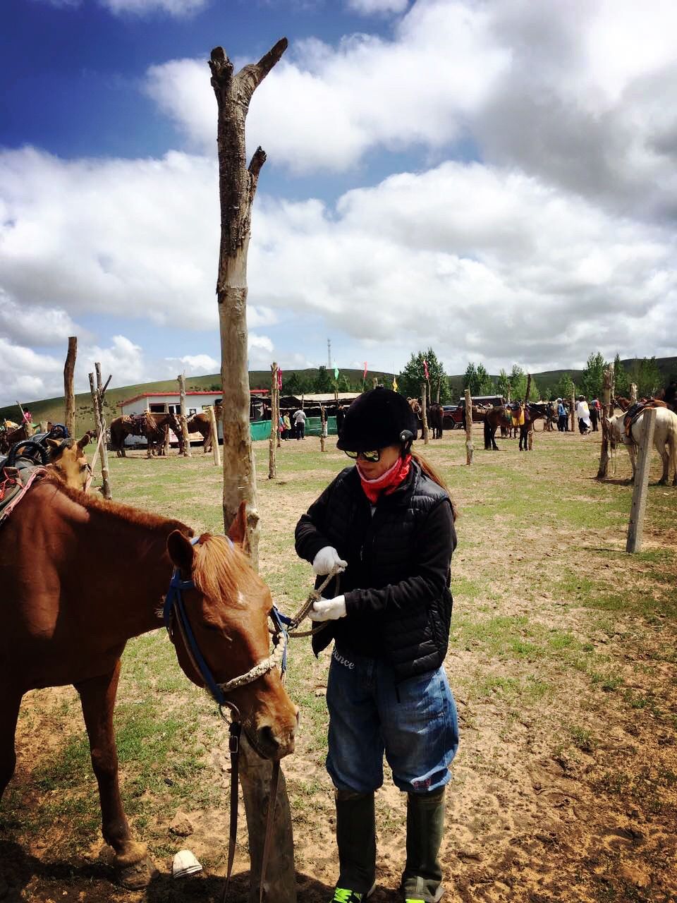 豐寧壩上草原,豐寧京北草原