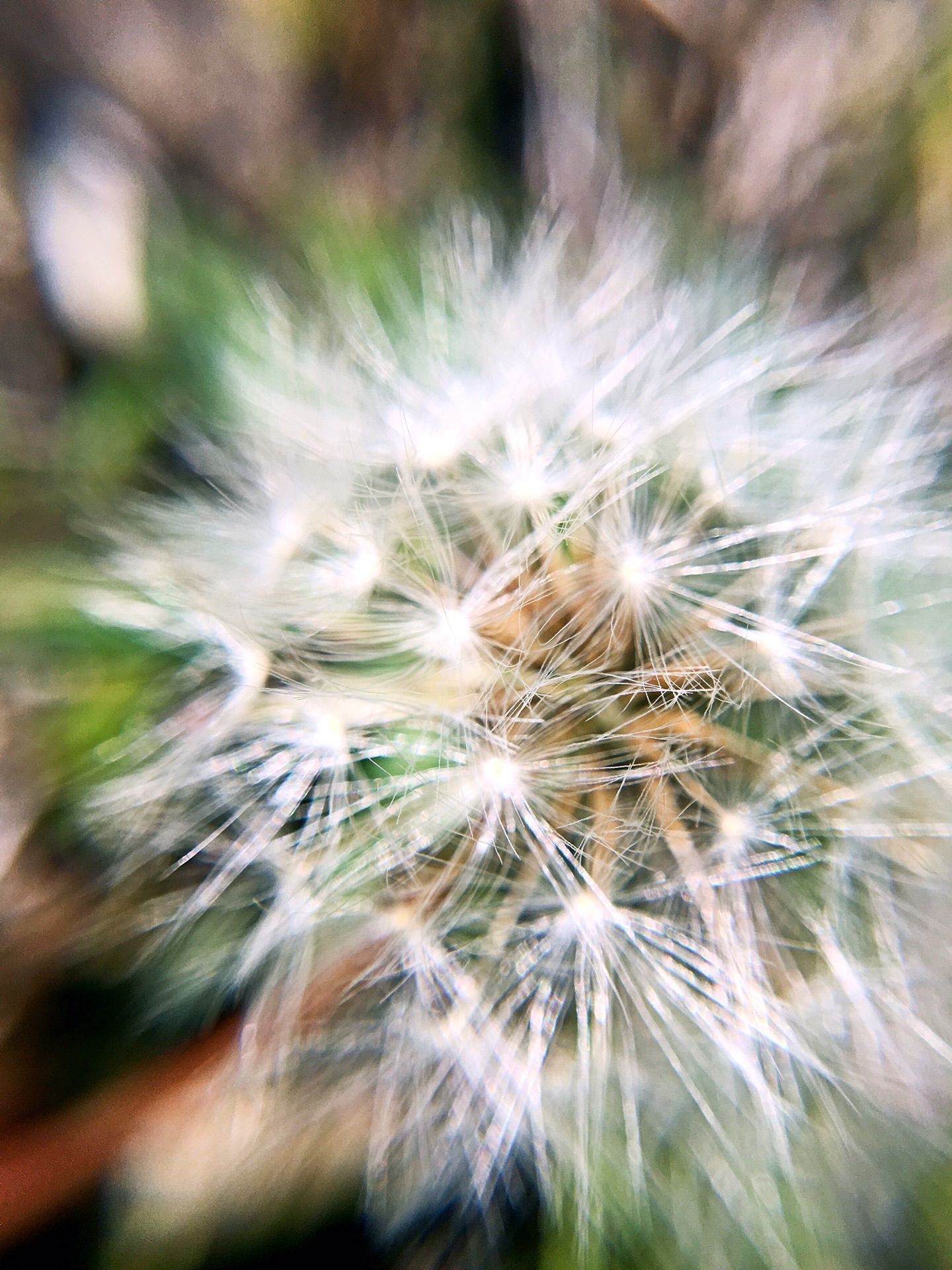 豐寧壩上草原,豐寧京北草原
