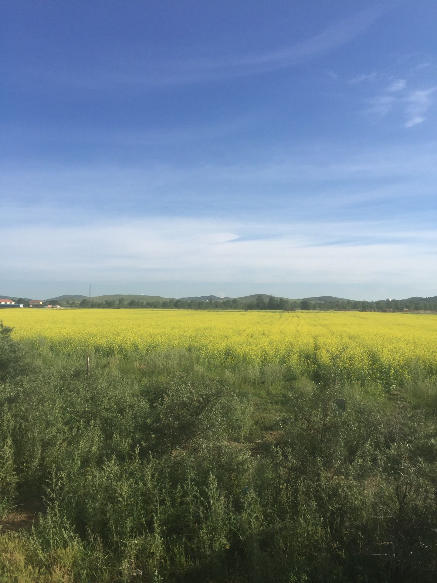 豐寧壩上草原,豐寧京北草原