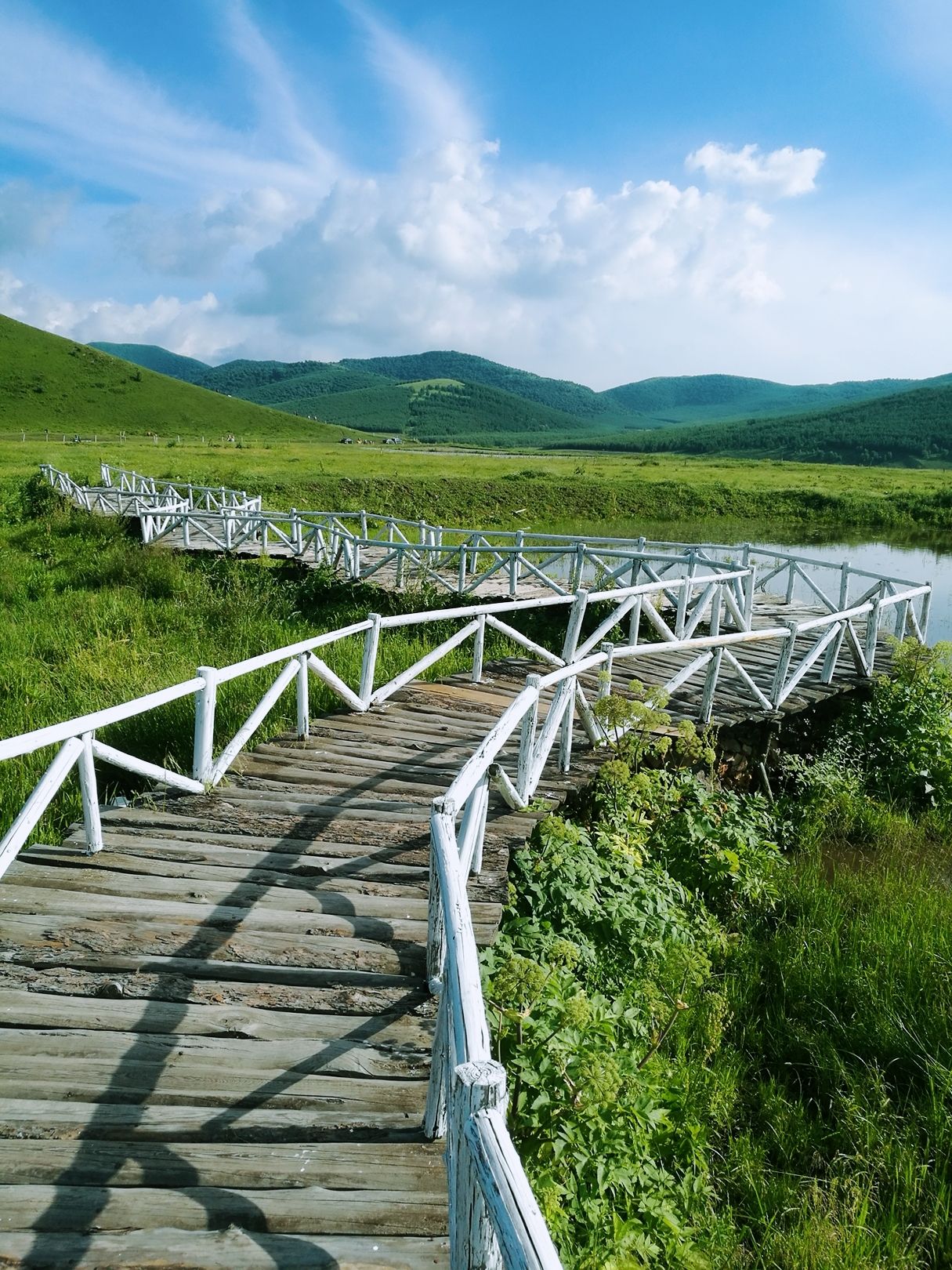 豐寧壩上草原,豐寧京北草原